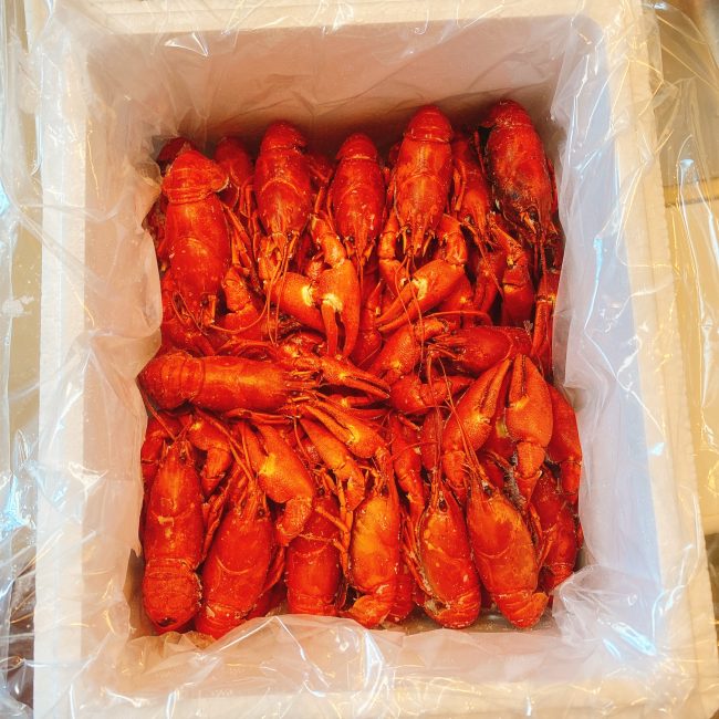 ウチダザリガニ はどんな味 通販で購入した物と阿寒湖で茹でたての物を食べ比べてみました 東京下町 ひとり飯
