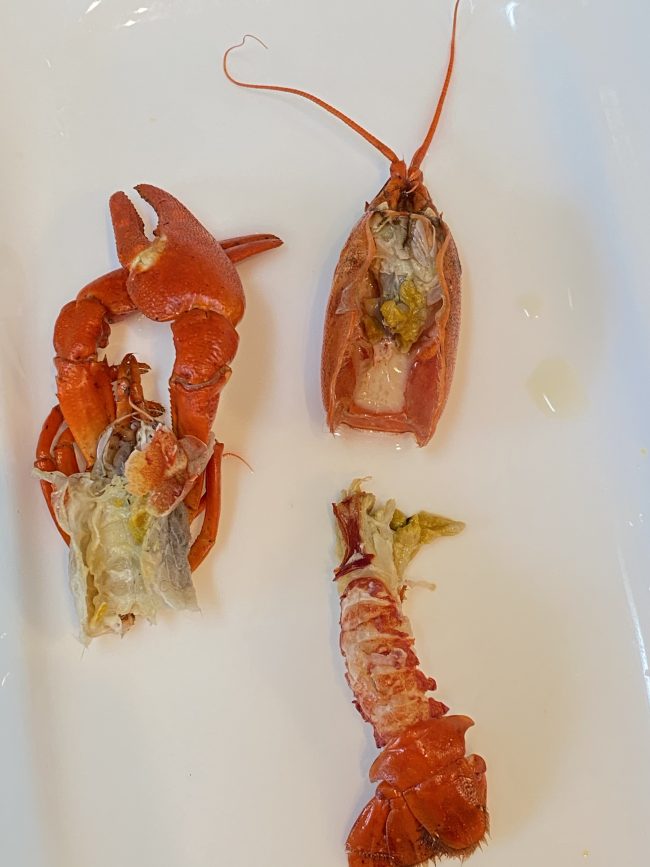 ウチダザリガニ はどんな味 通販で購入した物と阿寒湖で茹でたての物を食べ比べてみました 東京下町 ひとり飯