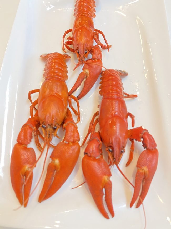 ウチダザリガニ はどんな味 通販で購入した物と阿寒湖で茹でたての物を食べ比べてみました 東京下町 ひとり飯