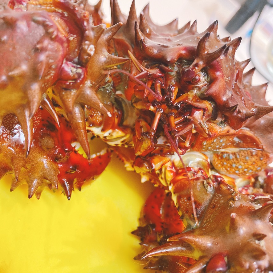 夏が旬 北海道で水揚げされるレアな蟹 花咲ガニ は実際どんな味なのか人生で初めて食べてみた 東京下町 ひとり飯