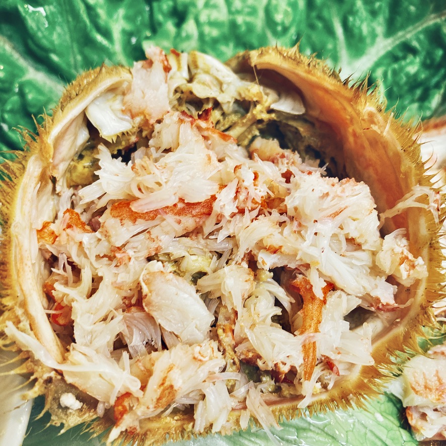 高級食材【毛蟹（ケガ二）】の上手な食べ方（オホーツク 沙留（さるる