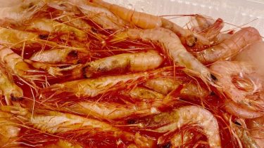 【トロエビ（ヒゲナガエビ）】駿河湾　戸田のブランドエビ「戸田の本エビ」